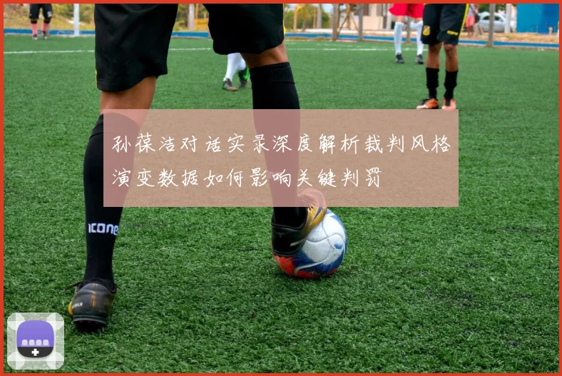 孙葆洁对话实录深度解析裁判风格演变数据如何影响关键判罚